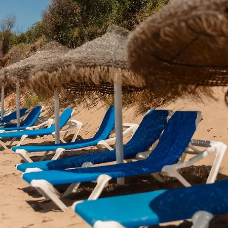 Apartment 2 Storey Townhouse With Large Terrace Garden, Bbq And Close To The Beach, In Elviria, Marbella